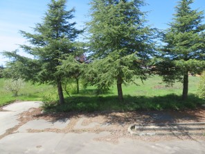 Jardín
